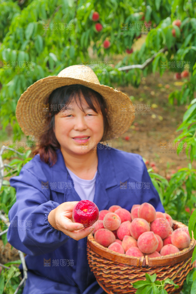 女人手上抱着一筐胭脂红桃子