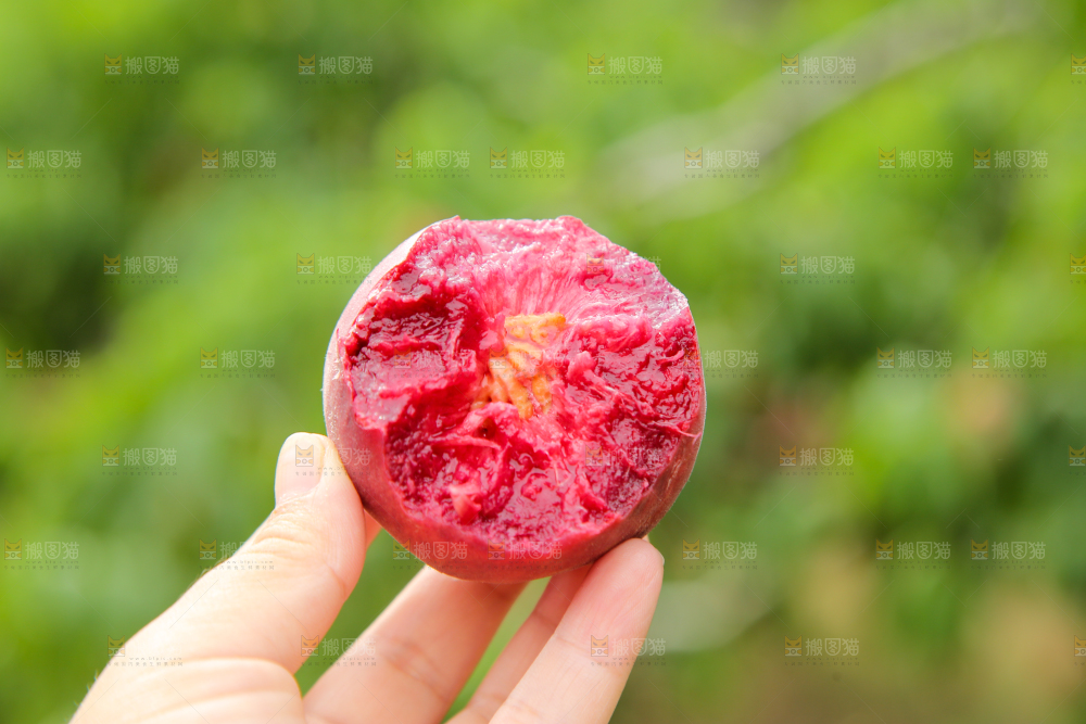 胭脂红桃子
