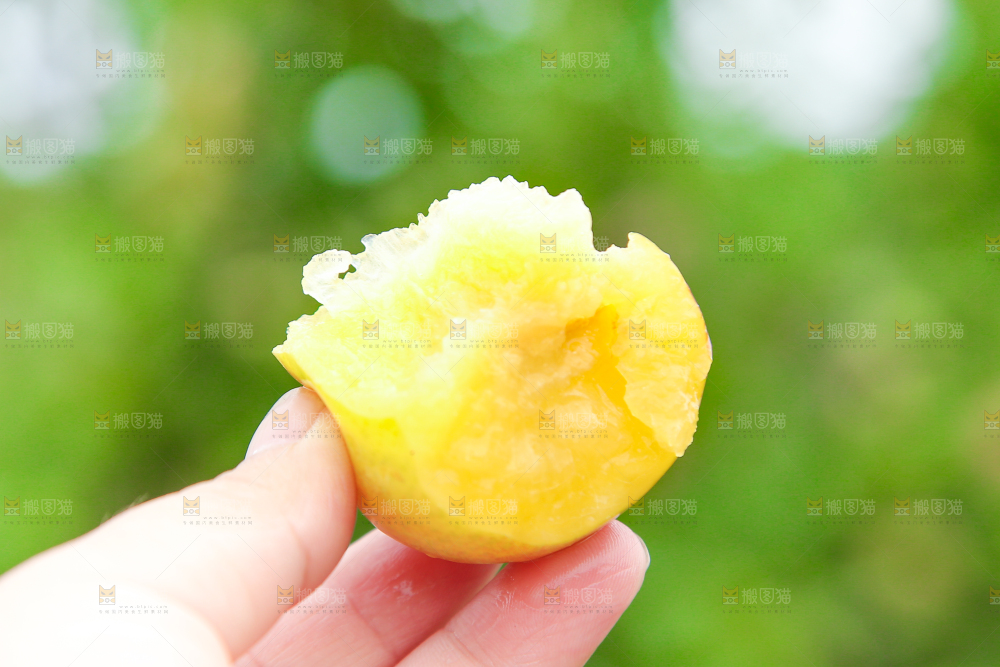 手上拿着李子
