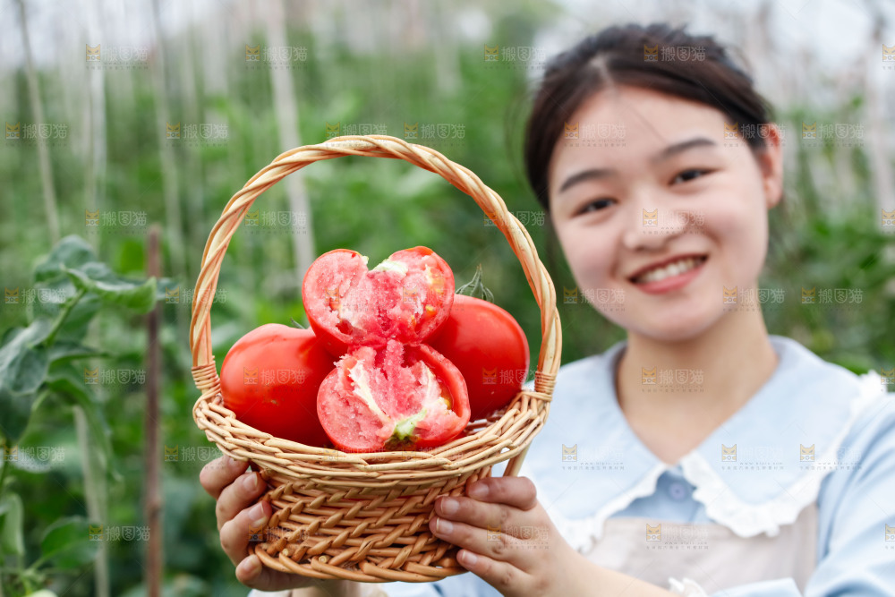 女孩手上拿着沙瓤西红柿