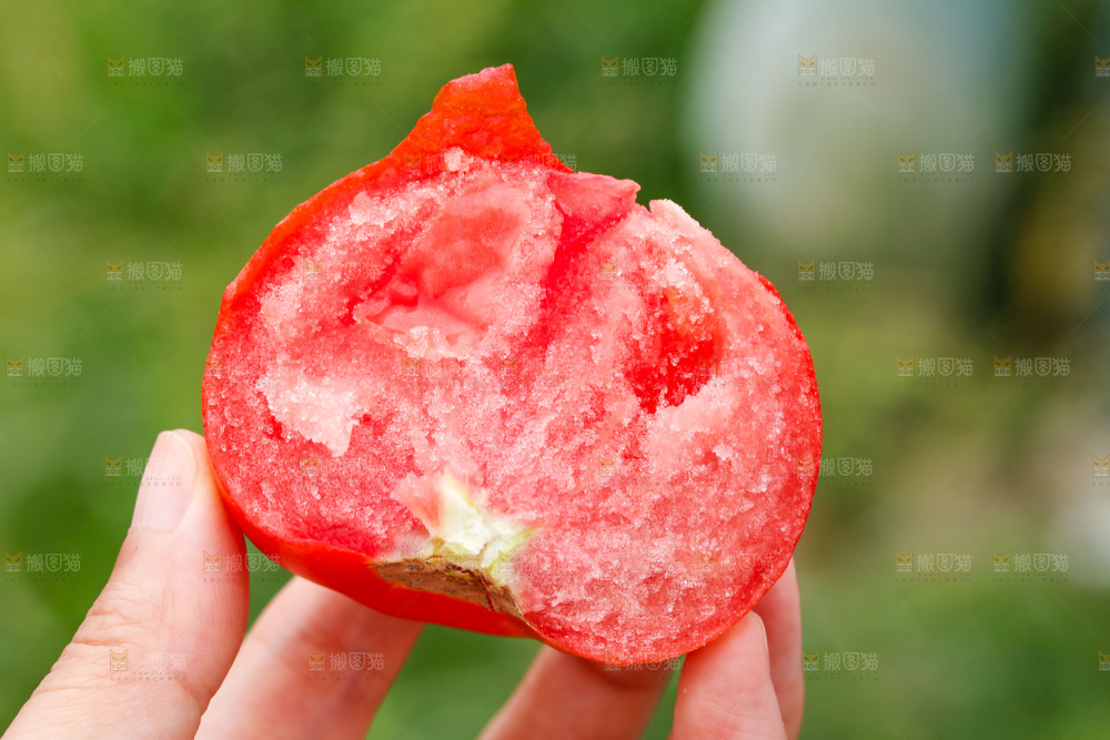 手拿着普罗旺斯西红柿