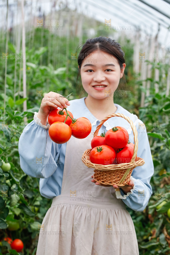 女孩手上拿着沙瓤西红柿