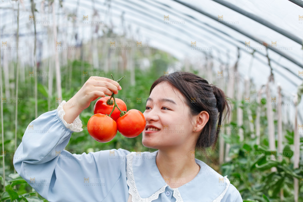 女孩手上拿着沙瓤西红柿