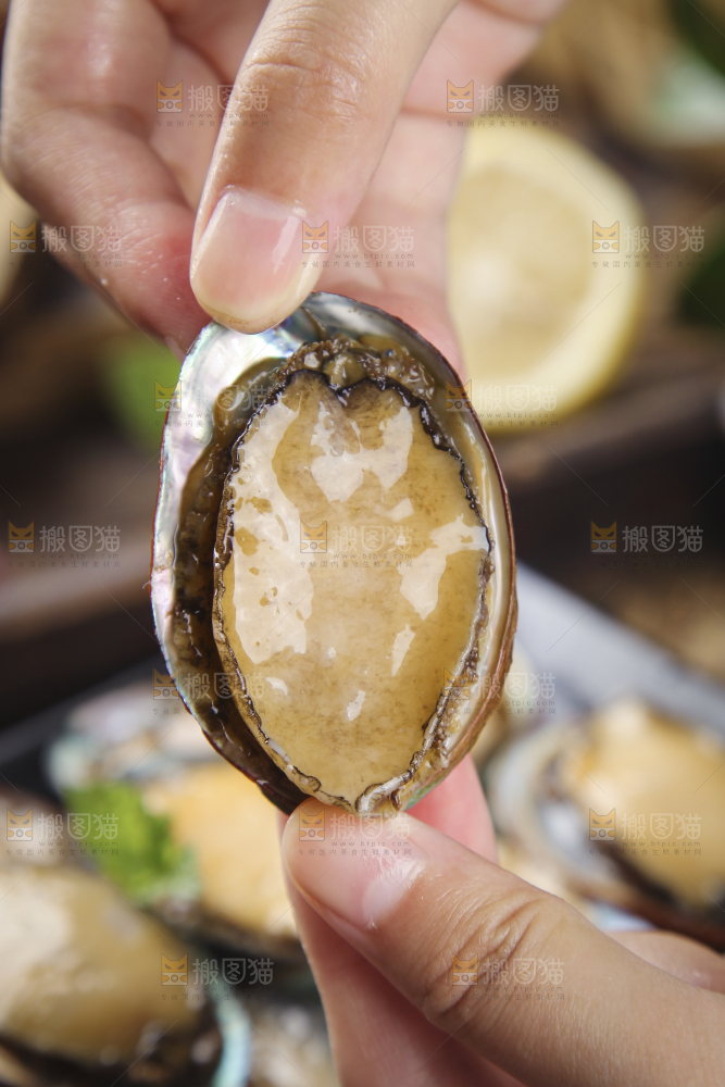 手上拿着鲍鱼