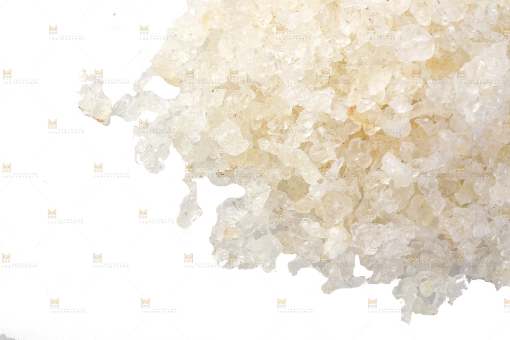 白底上放着雪燕