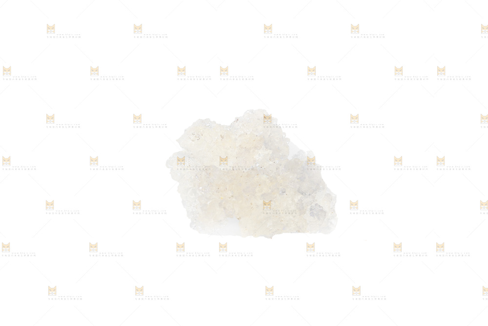 白底上放着雪燕