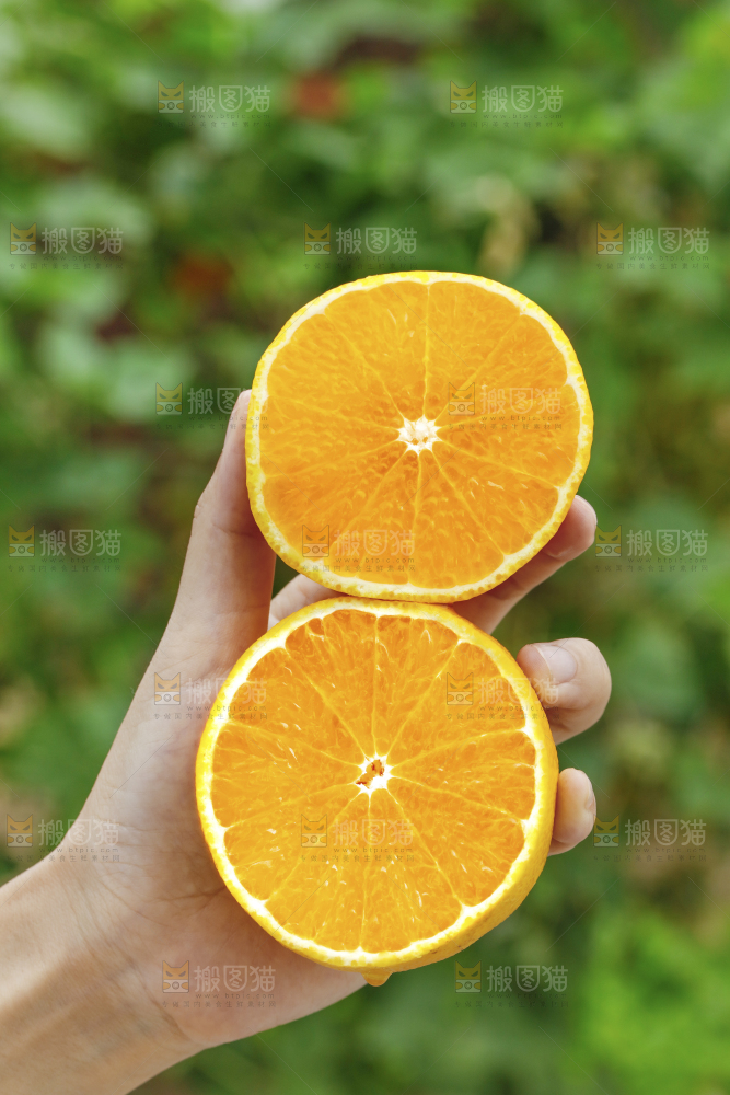 两个切面的爱媛