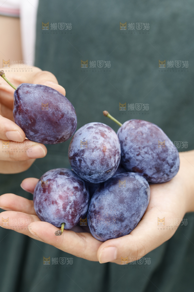 手上放着新疆大西梅