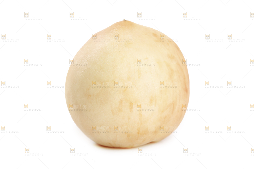 白底上的奶油白桃