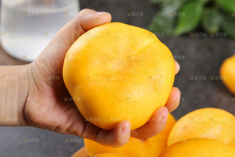 手拿着的黄蟠桃