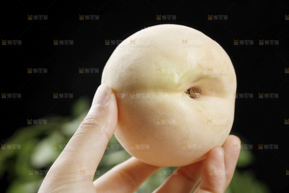 手上拿着的白桃