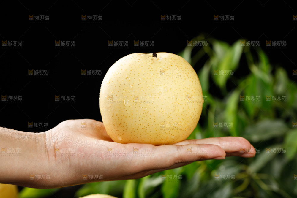 手上拿着皇冠梨
