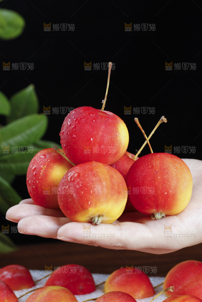 手上放着新鲜海棠果