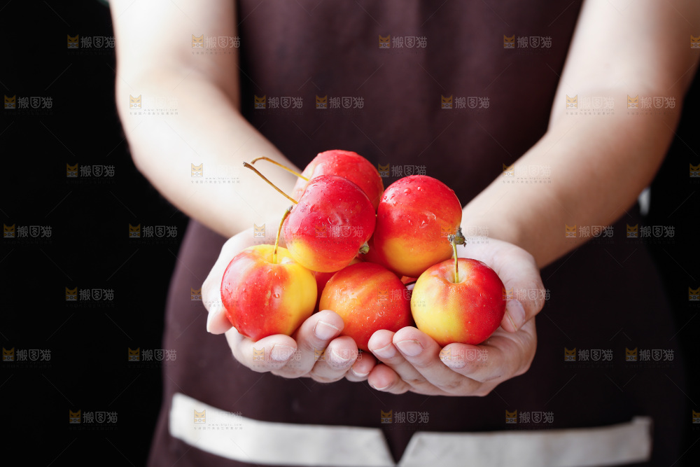手里捧着新鲜海棠果