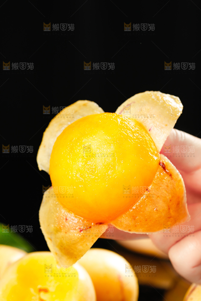 木底上的人参果