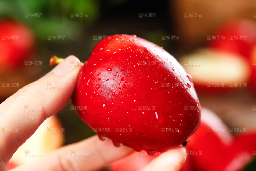 手里拿着海棠果