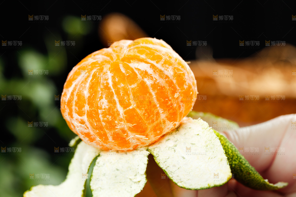 手里拿着剥皮的蜜橘