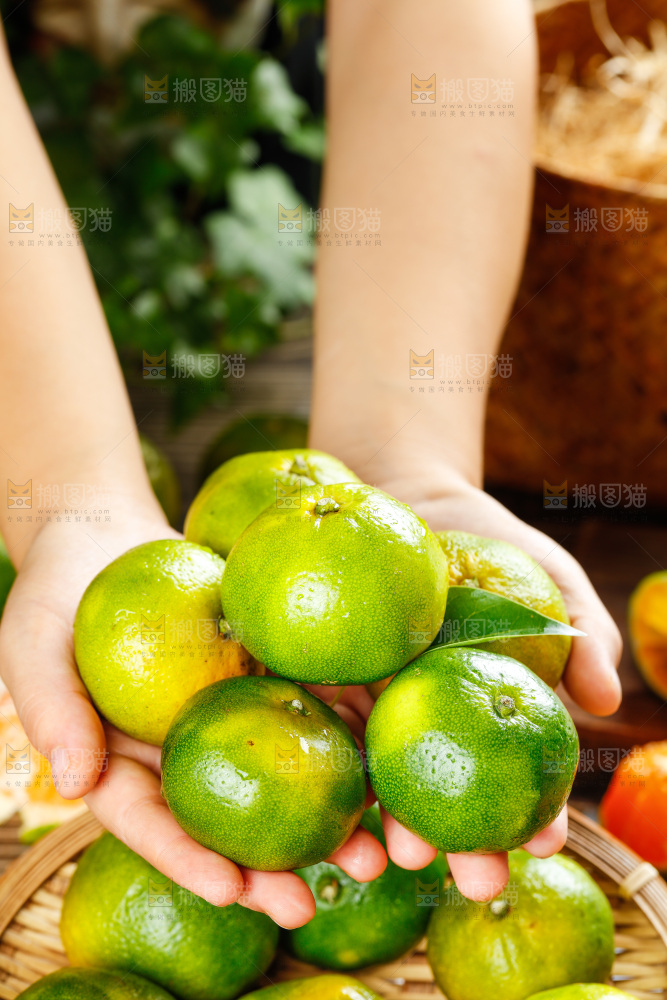 篮子里放着蜜桔