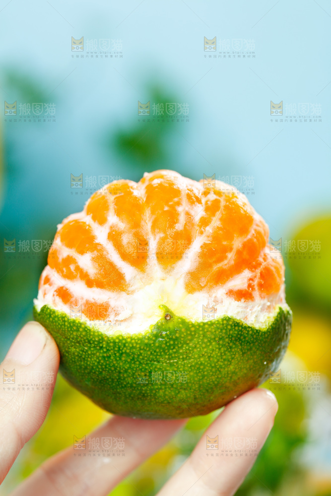 手里拿着蜜橘