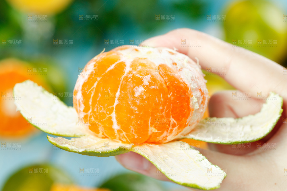 手里拿着蜜橘