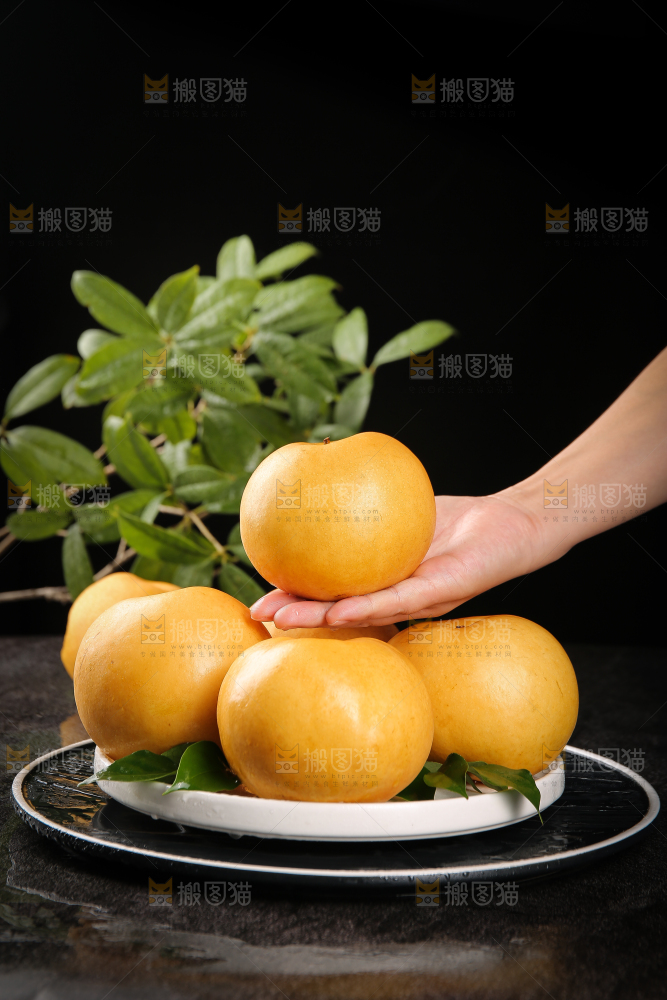 手里拿着新鲜秋月梨