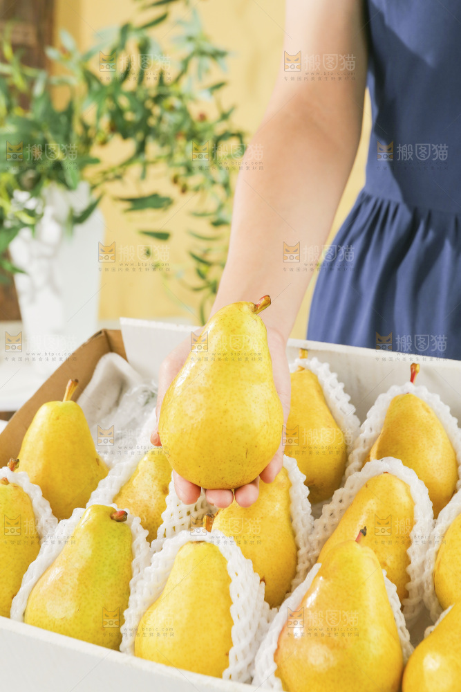 手里拿着太婆梨