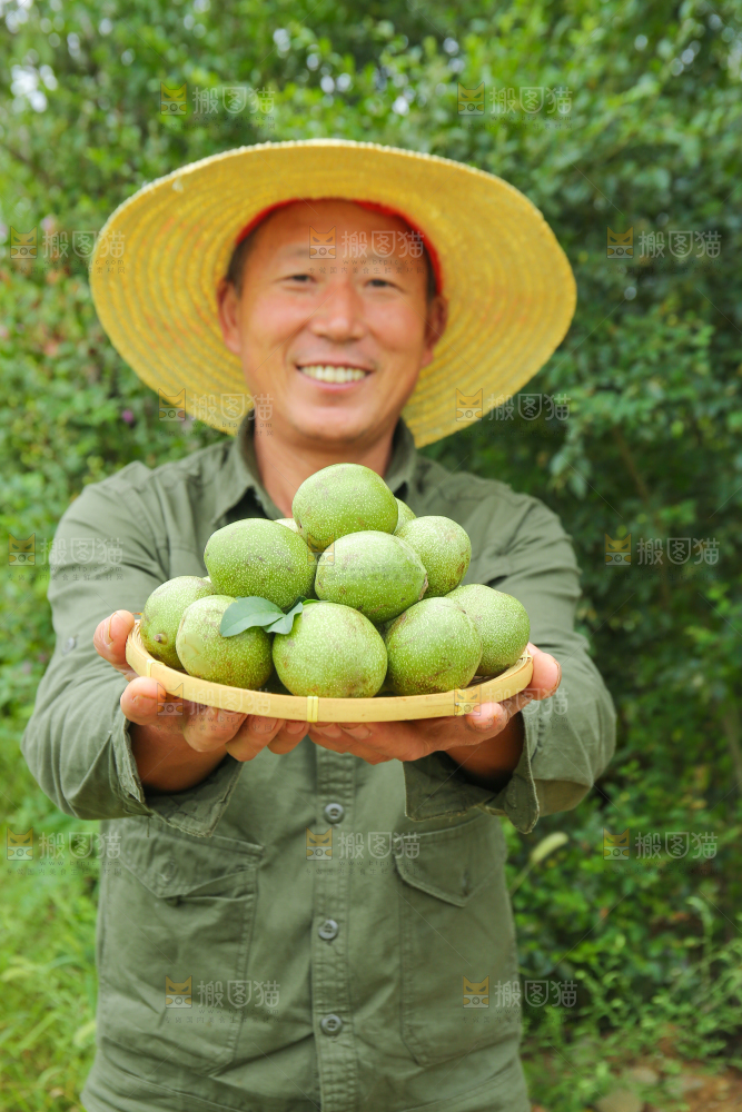 农民手里拿着一篮核桃