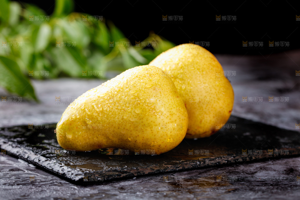 黑石板上的太婆梨