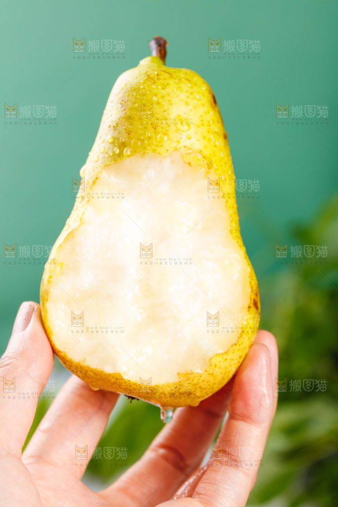 手里拿着新鲜太婆梨