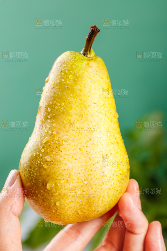 手里拿着新鲜太婆梨