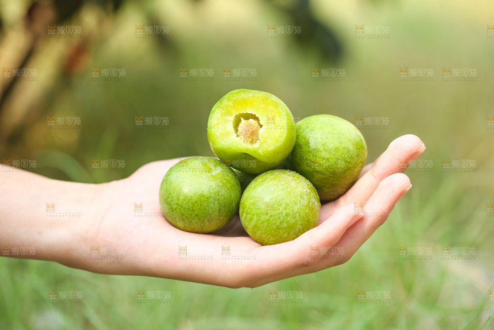 手上放着新鲜脱骨李