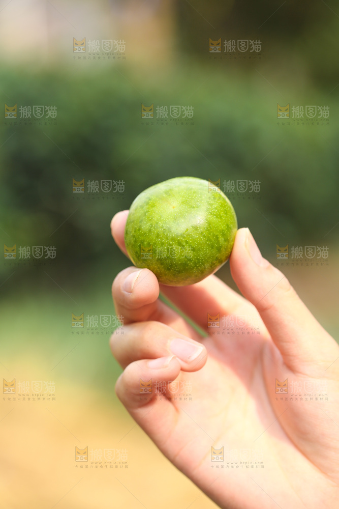 手里拿着脱骨李