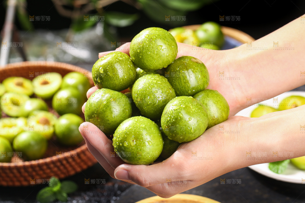 手捧着新鲜脱骨李