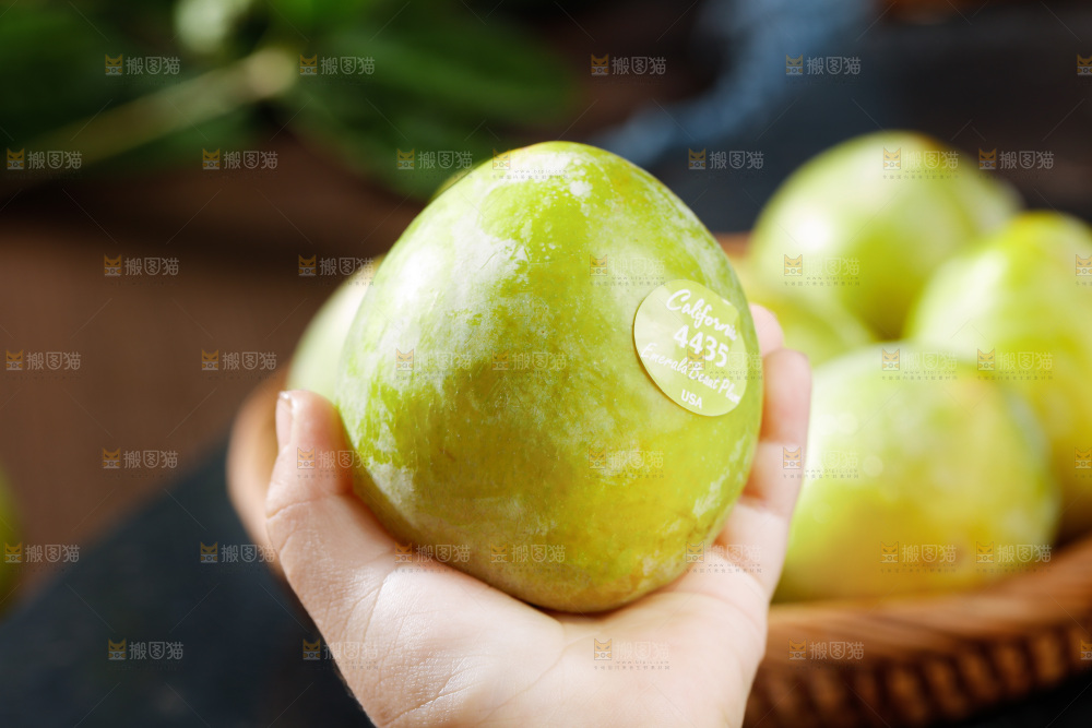 手上拿着恐龙蛋李子
