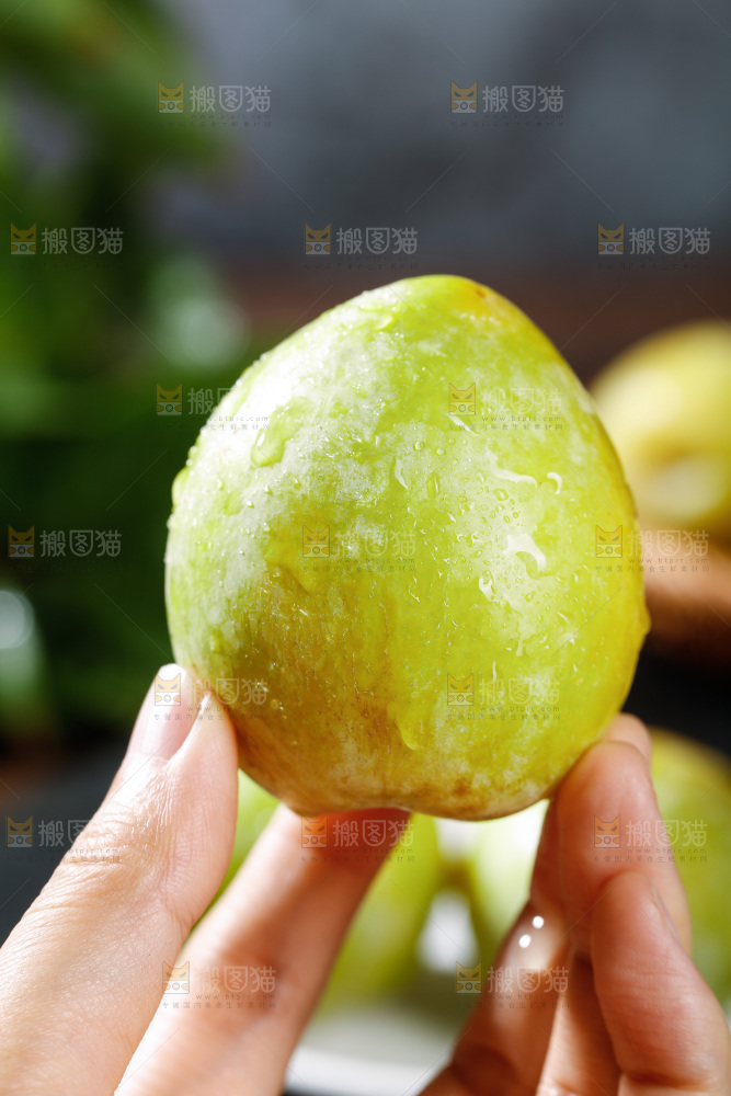 手里拿着恐龙蛋李子
