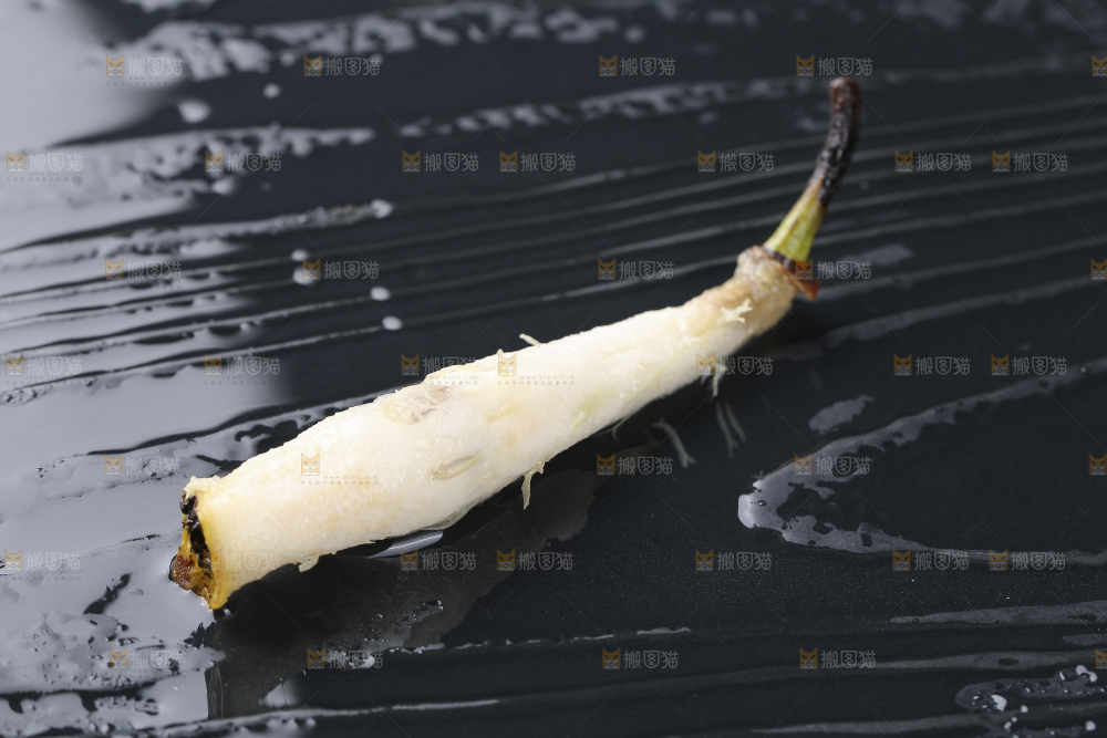 黑底上放着太婆梨果核