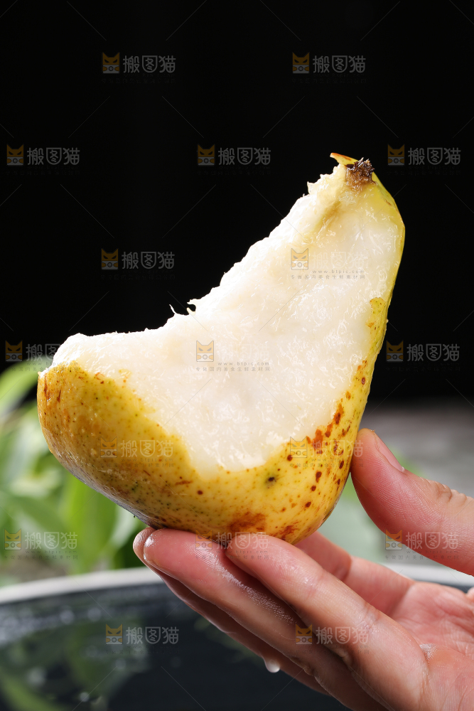 手上拿着山东太婆梨