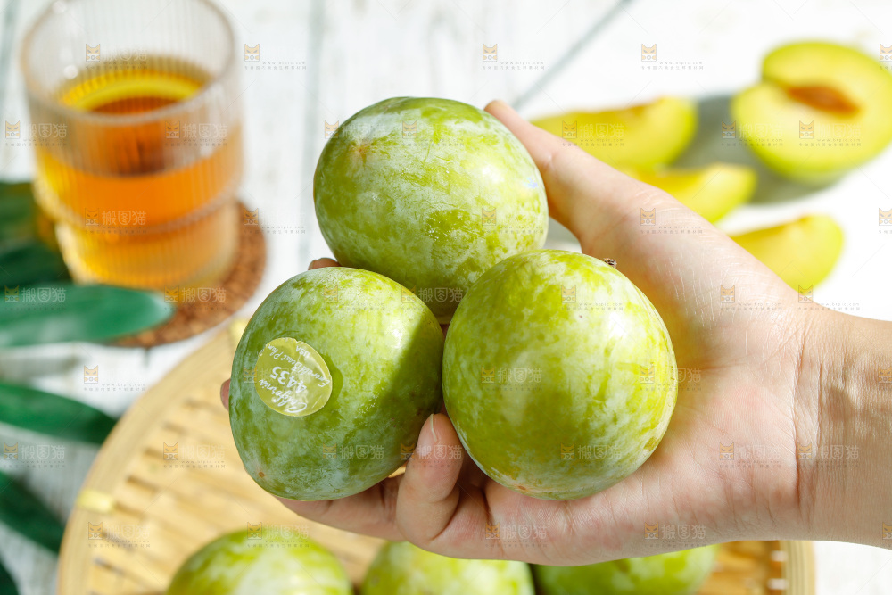 手里拿着新鲜恐龙蛋李