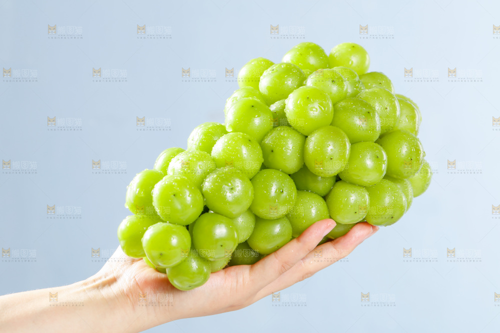 手拿着阳光玫瑰青提