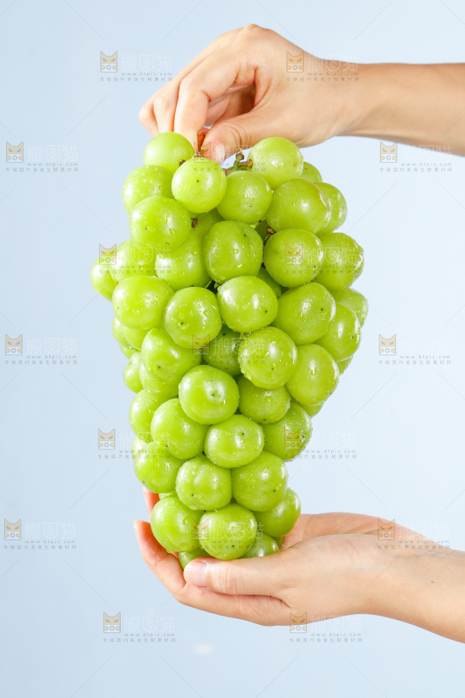 手拿着阳光玫瑰葡萄