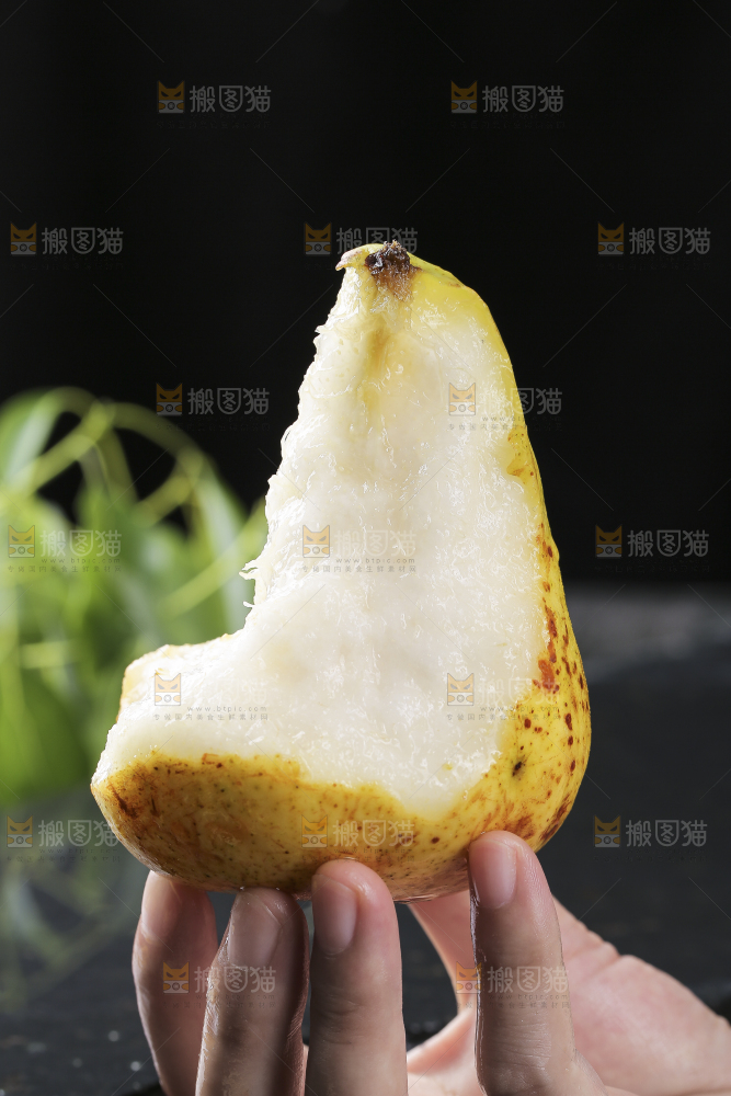 手上拿着太婆梨