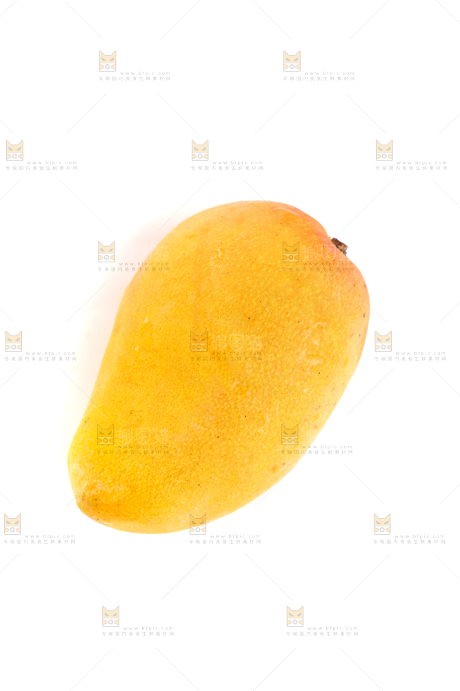 白底上的小台芒