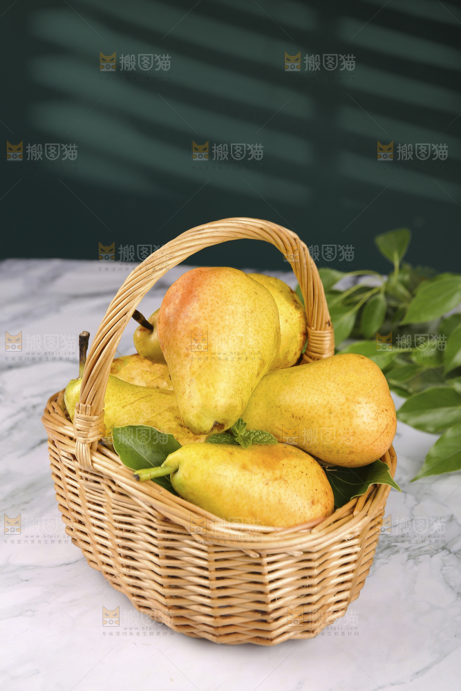 浅底上的一篮山东太婆梨