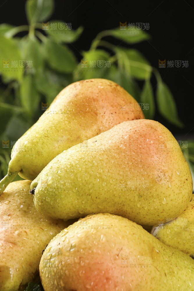 堆放着的山东太婆梨