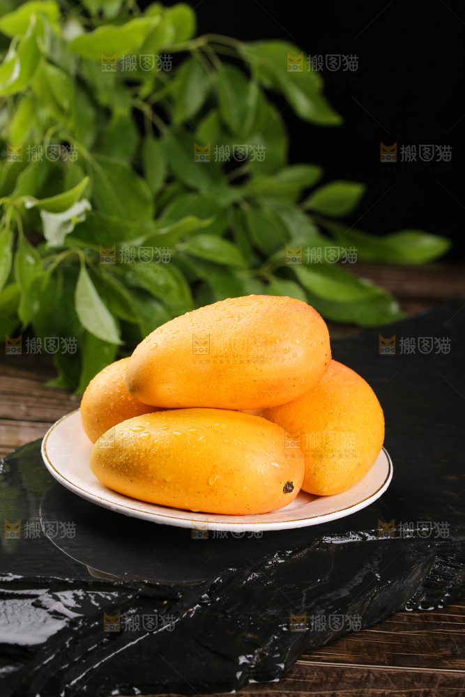 黑底上的一盘小台芒