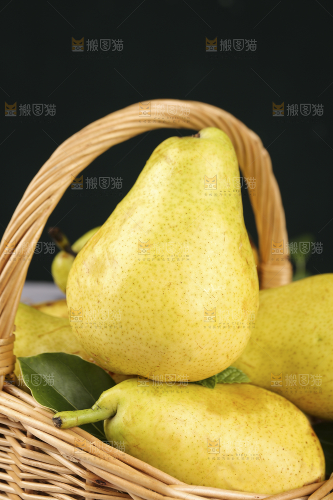 篮子里的山东太婆梨