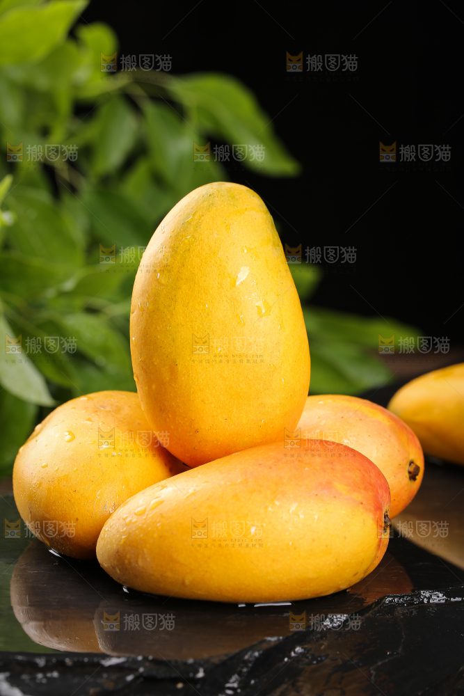 黑底上放着小台农芒果