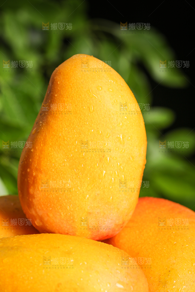 堆放着的小台农芒果