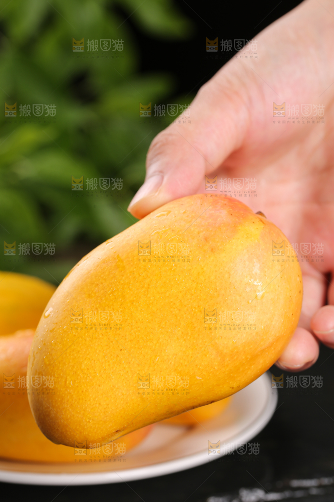 手里拿着新鲜小台芒