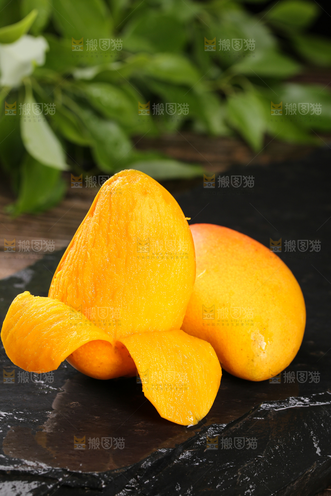 黑底上的新鲜小台芒